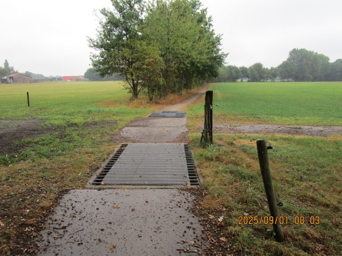 September 2025 - Wildrooster Austepad