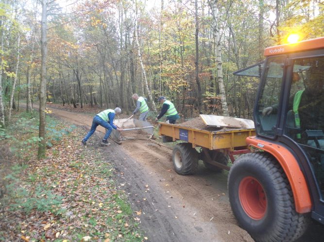 November 2025 - Onderhoud Austepad