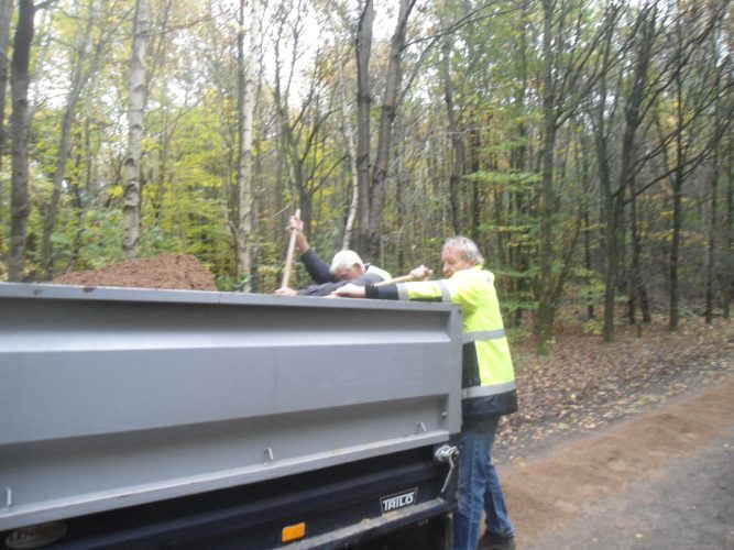 November 2025 - Onderhoud Austepad